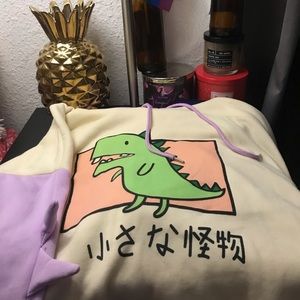 Women’s Dinosaur Graphic Hoodie Size M.